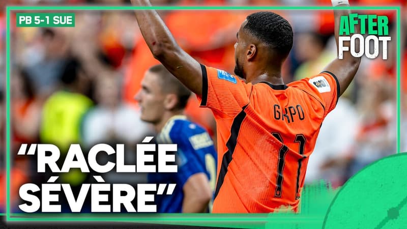 Pays Bas 5-1 Suède : "Une raclée sévère" regrette Riolo