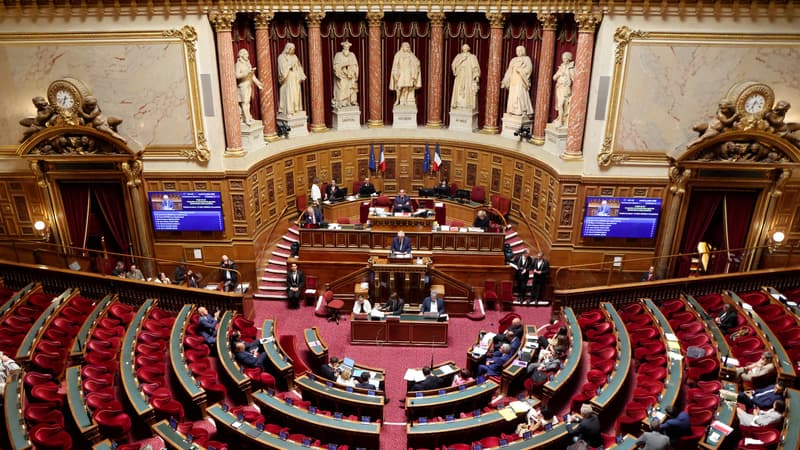 Plafonnement des salaires, redistribution des droits TV, société commerciale... La grande réforme sur la gouvernance du sort professionnel définitiviement adoptée au Parlement