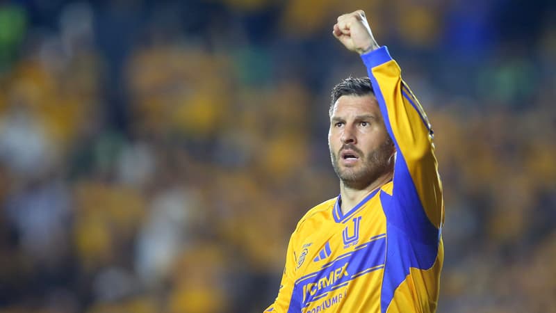 Tifos XXL, chants... L'incroyable hommage des supporters des Tigres à leur légende André-Pierre Gignac