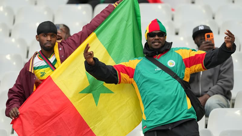 "On va manger le coq": à Harlem, le "Petit Sénégal" de New York, la confiance règne avant d’affronter les Bleus