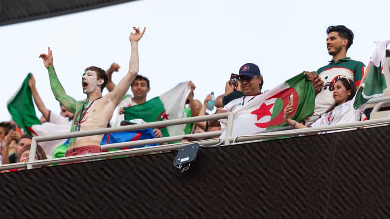 Coupe du monde 2026: en vidéo, les scènes de joie de supporters de l'Algérie... sur le but de l'Autriche