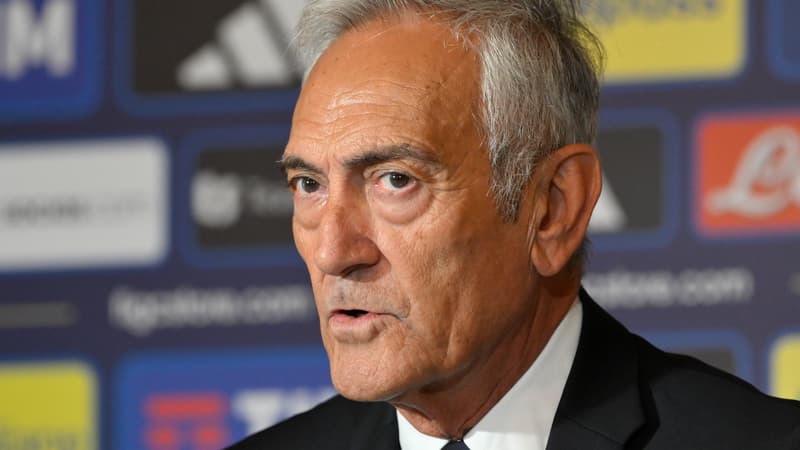 La phrase du président de la Fédération qui choque l'Itaie après l'élimination pour la Coupe du monde