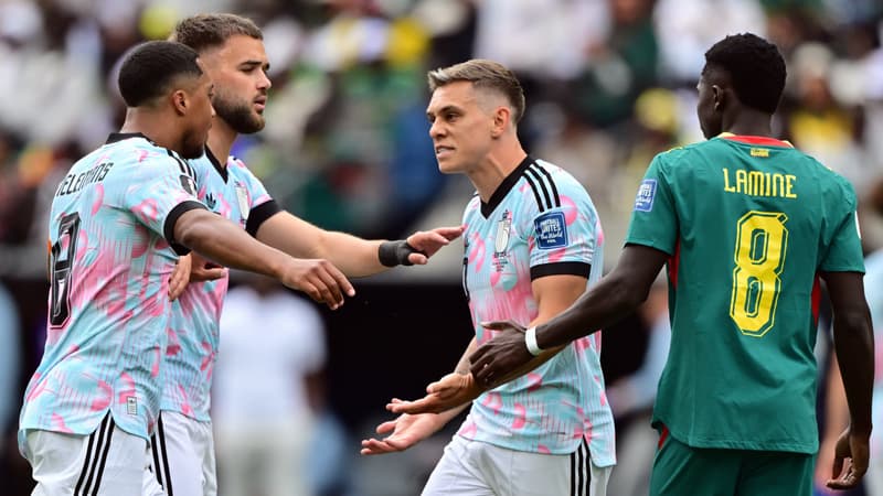 Belgique-Sénégal: les images de l'altercation entre Trossard et Tielemans, à deux doigts d'en venir aux mains pendant la pause fraîcheur
