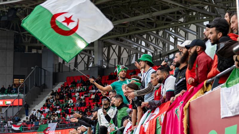 Coupe du monde 2026: une violente bagarre entre supporters de l'Algérie et de la Jordanie au Qatar